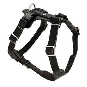 Geschirr Aalborg 47-63/S-M Rindsleder Schwarz 1