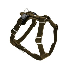 Geschirr Aalborg 47-63/S-M Leder, Olivgrün  1