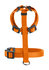 Geschirr London Vr Mini 18-30/Xxs Polyester Orange 1_